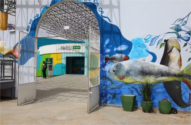 Aquário Municipal de Cuiabá têm novo horário de visitação; confira