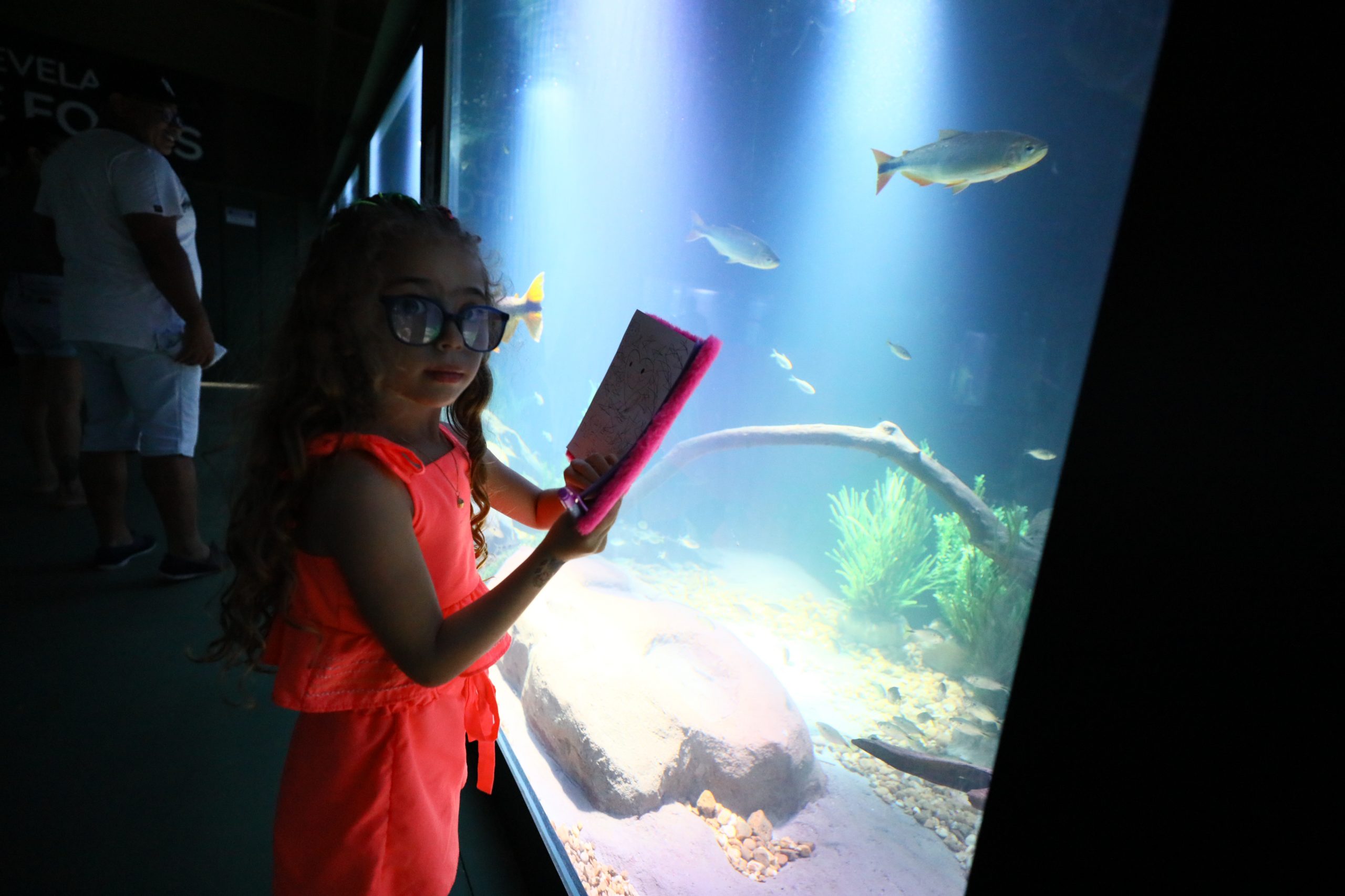 Com entrada gratuita, Aquário Municipal será reaberto nesta terça-feira
