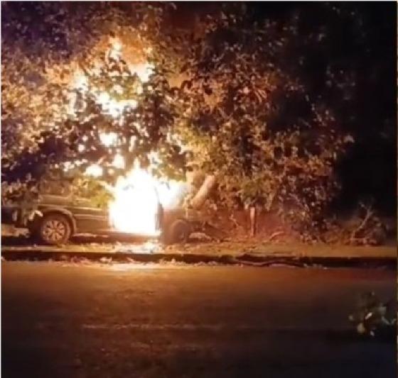 Idoso bate carro em árvore e morre; veja vídeo