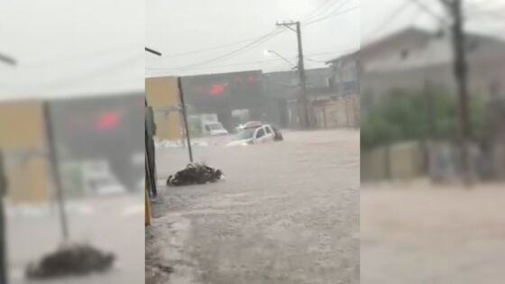 Bombeiros atendem 44 chamados de inundação durante chuva em Cuiabá
