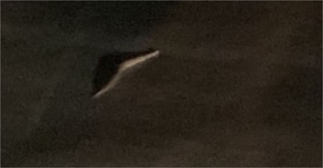 Cobra na pista interrompe decolagem de avião no Aeroporto Marechal Rondon; vídeo