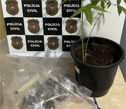 Traficantes que anunciavam vendas de drogas por redes sociais e usavam menores no crime são presos