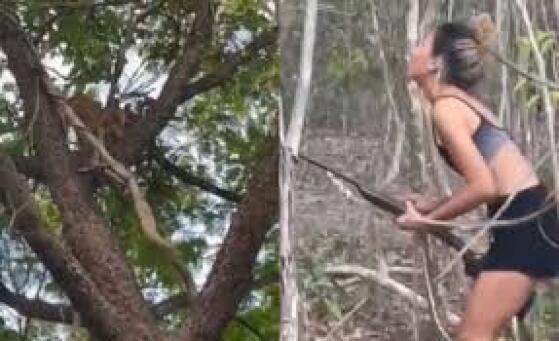 Mulher atira e mata onça-parda; vídeo