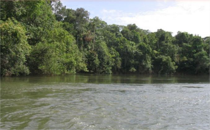 Defesa Civil tranquiliza população sobre nível do Rio Verde