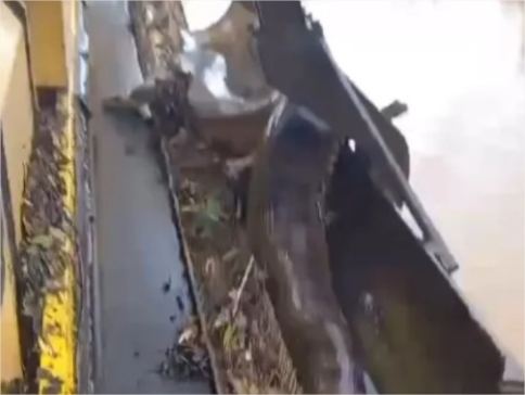 Sucuri enorme causa susto em morador de Chapada dos Guimarães