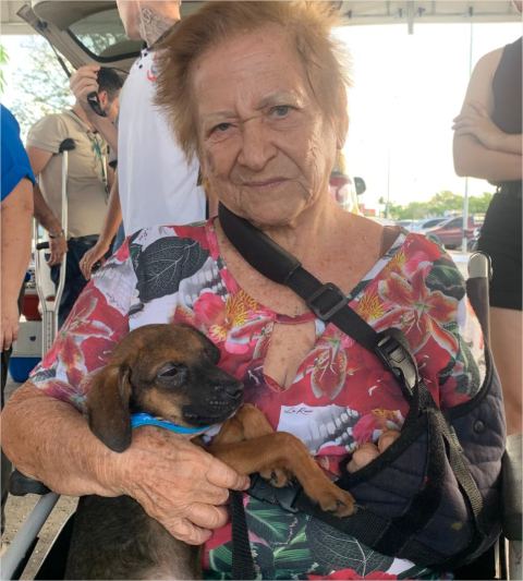 Feira no Parque Tia Nair tem grande adesão e 90% dos animais são adotados