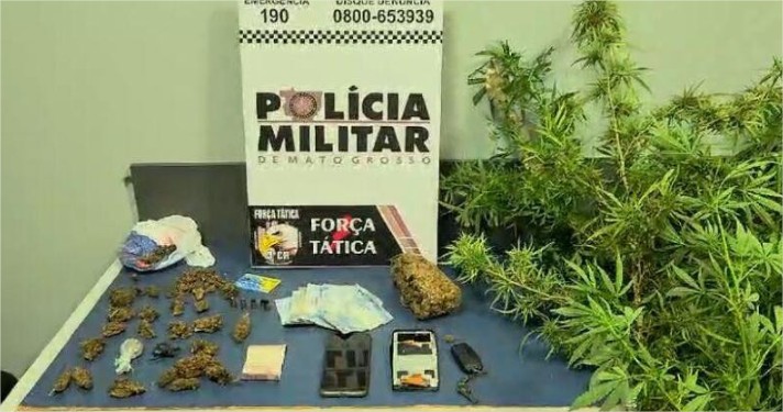 Traficante que atendia condomínios de luxo é preso com ‘plantação’ da verdinha