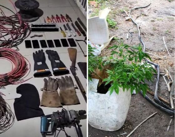 Quadrilha especializada em roubo de fios de placas solares é desmantelada; veja vídeo