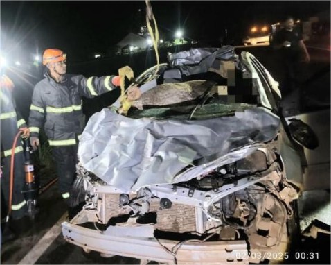 Corolla atropela 4 cavalos e motorista morre; um dos animais foi parar dentro do carro (vídeo)