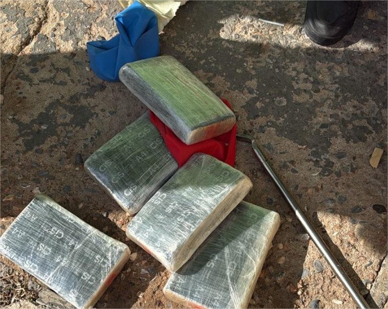 Polícia Civil apreende encomenda de maconha entregue por transportadora em casa no CPA