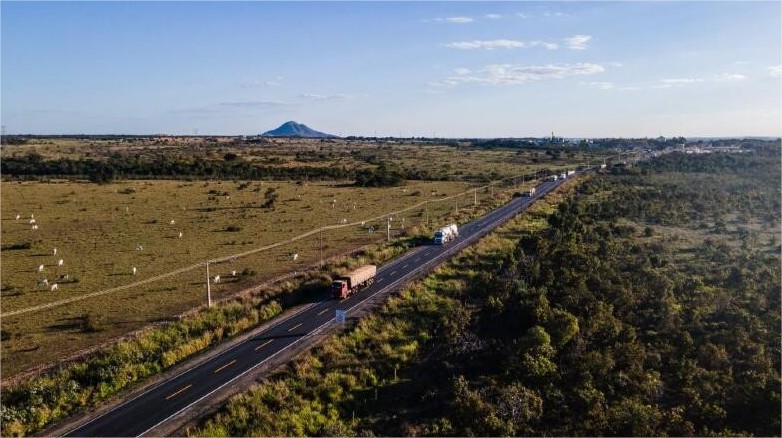 Motociclista é atacado por cachorros na Rodovia dos Imigrantes e tutor ignora o caso