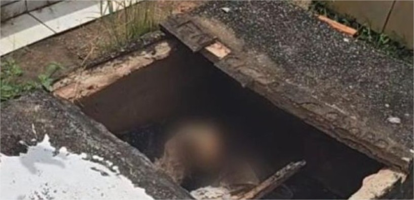 Zelador de cemitério acha túmulo violado com cabeça de porco e corpo esquartejado em MT