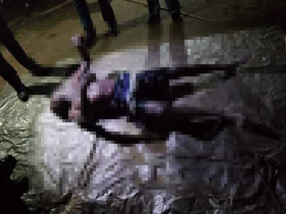 Corpo de idoso é encontrado comido por peixes em rio do Pantanal