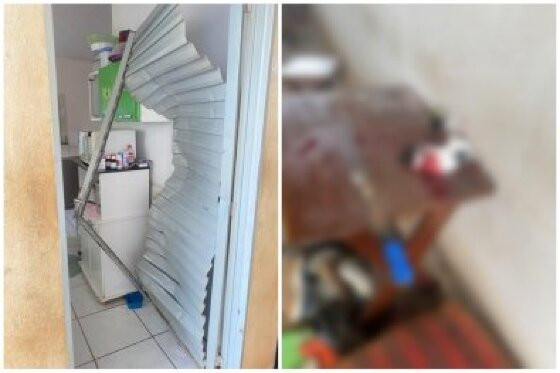 Irmãos bêbados invadem casa e matam filhote de gato decapitado