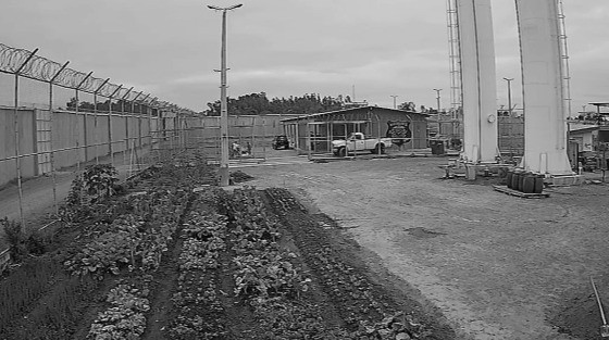 Vídeo mostra presos fugindo de penitenciária de VG com ajuda de policiais penais