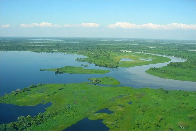 Lula anuncia ampliação de áreas protegidas no pantanal em cúpula da ONU