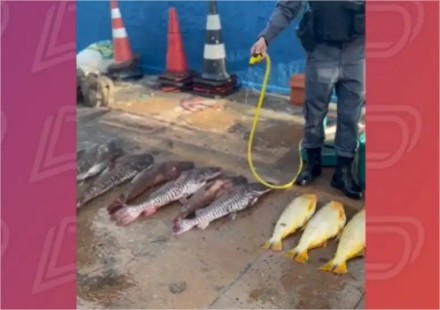 Mulher vai pescar ilegalmente com marido, ele foge e ela é presa em MT