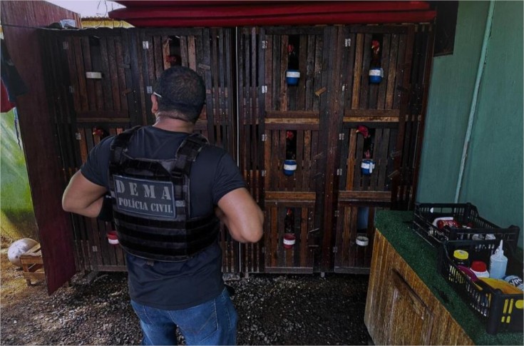 Homem é autuado por promover rinha de galos em VG; 10 aves resgatadas