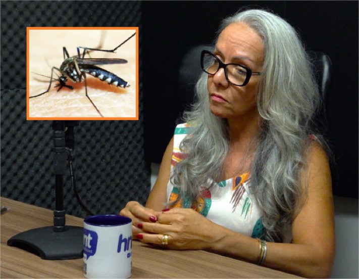 Secretária aponta queda da chikungunya e alerta para onda de Influenza