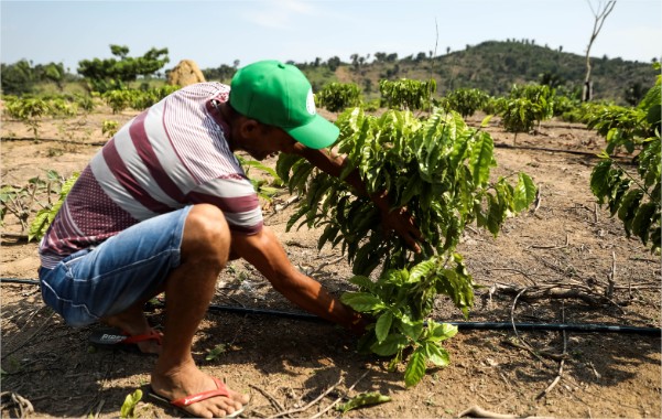 Governo do Estado avança na implementação do programa MT Produtivo com foco na agricultura familiar sustentável