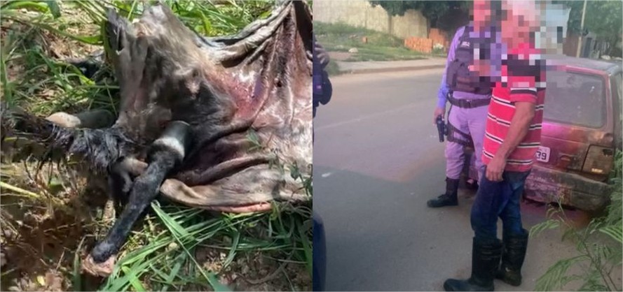 Homem é preso em Cuiabá com carne suspeita de cavalo; ele é acusado de abater para venda ilegal