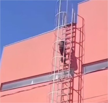 Crianças desaparecidas são encontradas dormindo em laje de farmácia em MT