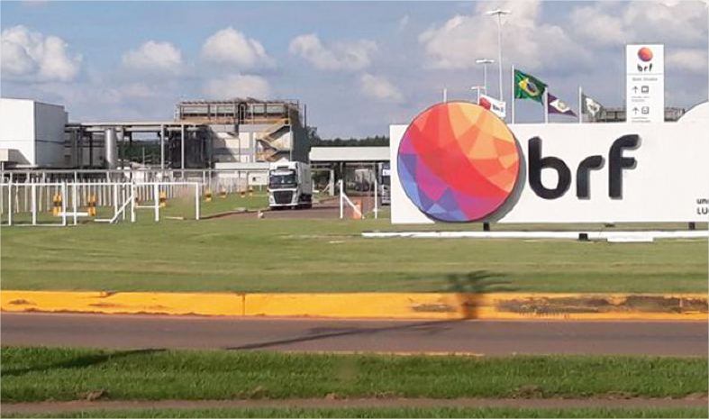 Frigorífico de MT vai transferir grávidas de áreas de risco após abortos