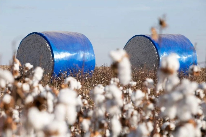 Algodão de MT vira tendência em evento que une moda, agro e transformação social