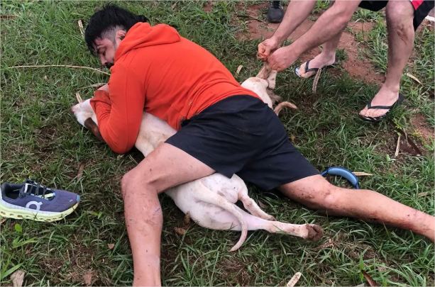 Lutador usa técnicas de Muay Thai para conter ataque de pitbulls; veja vídeo