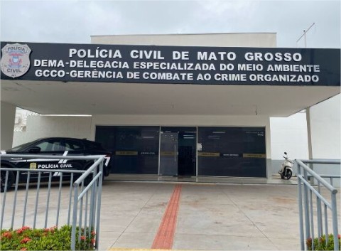 Mulher trans é presa por adotar e matar gatos em Cuiabá