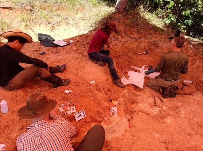 Descoberta inédita em Chapada dos Guimarães revela fósseis raros de dinossauros