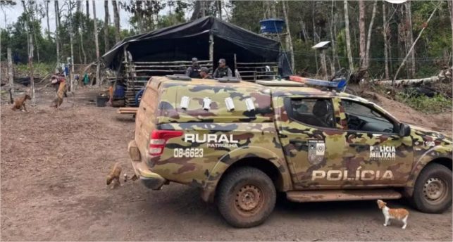 Mãe é presa por trabalho infantil após crianças serem flagradas extraindo madeira com motosserras em MT