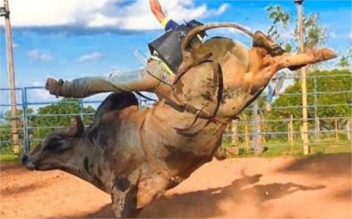 Jovem morre depois de ser pisoteado por touro durante treino de montaria em MT