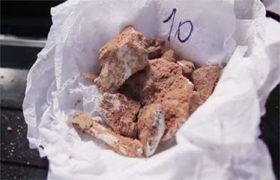 Pesquisadores encontram fósseis de dinossauros em Chapada dos Guimarães