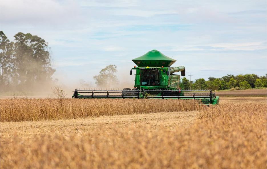Mato Grosso consolida protagonismo na produção mundial de grãos e fibras