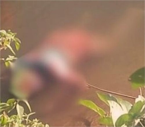 Mulher que pulou em rio para salvar criança é encontrada morta; veja vídeo