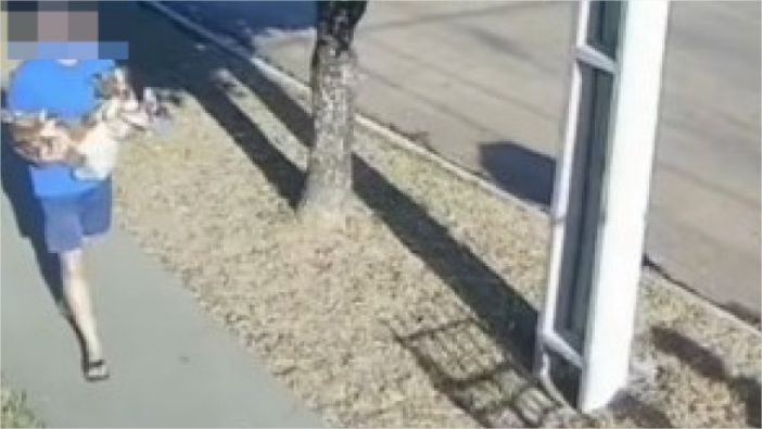 Cadela vira-lata ‘avança’ contra PM e é atingida com tiro no olho