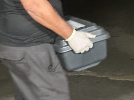 Bebê morre dias após ser acolhido em casa lar de Cuiabá