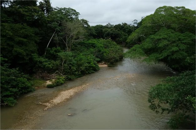Mulher desaparece em rio após salvar criança de afogamento em Cuiabá