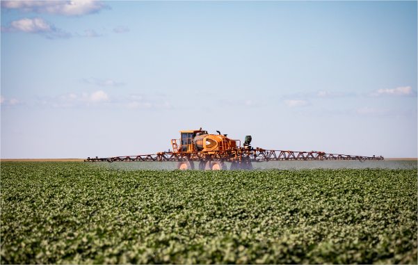 Mato Grosso puxa alta na estimativa de produção agrícola e consolida liderança nacional