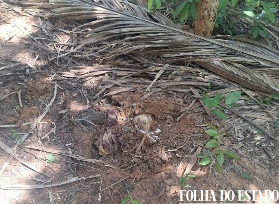 Vítimas encontradas em cemitério clandestino em Várzea Grande são identificadas por DNA