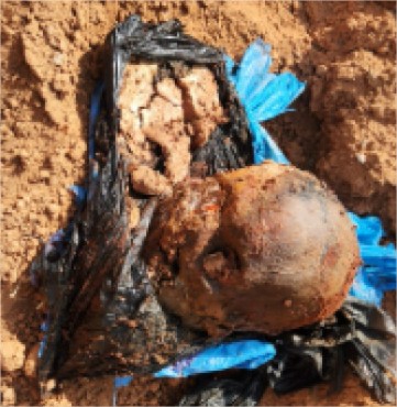 Crânio humano é encontrado dentro de sacola em cemitério de Alta Floresta