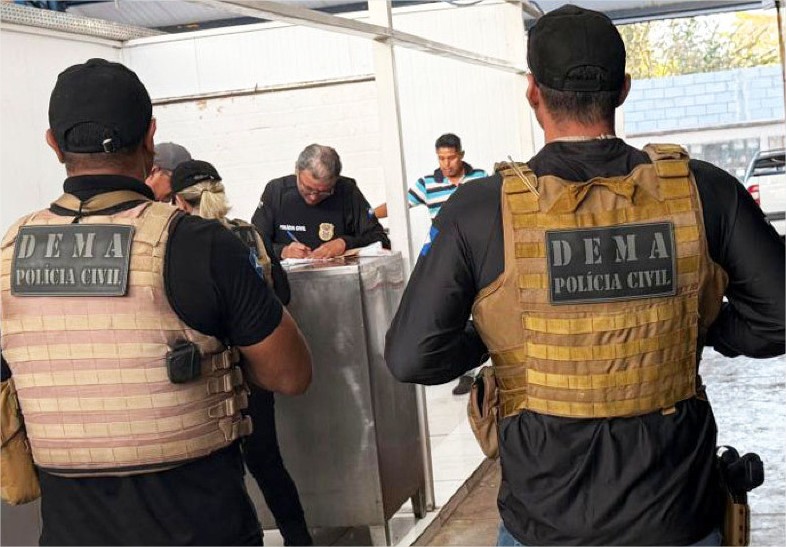 Operação apreende 3 toneladas de peixe ilegal no Mercado do Porto