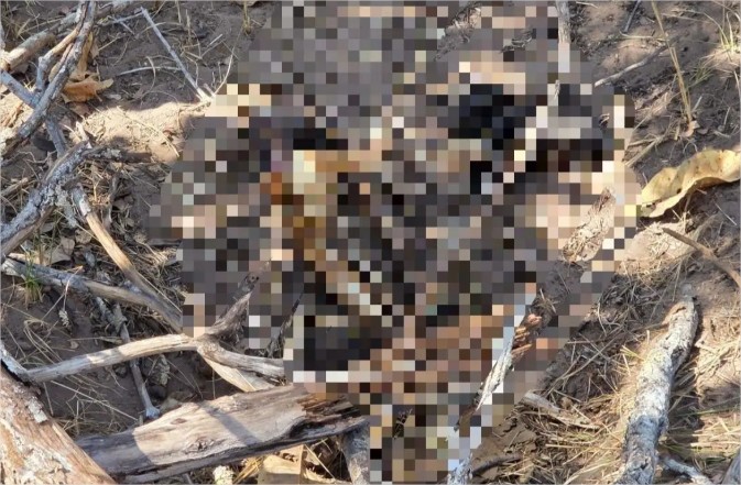 Ossada com pernas amarrados e cabeça separada do corpo é localizada em Jaciara