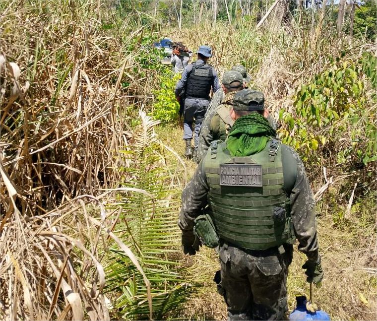 Policiais localizam mulheres que se perderam na mata em Mato Grosso