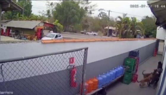 Vídeo: Funcionária é atacada por pitbull em distrito de Cuiabá (imagens fortes)