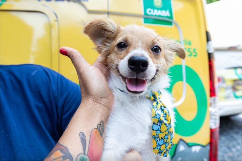 Cuiabá inicia Campanha de Vacinação Antirrábica com Dia D em 25 de outubro