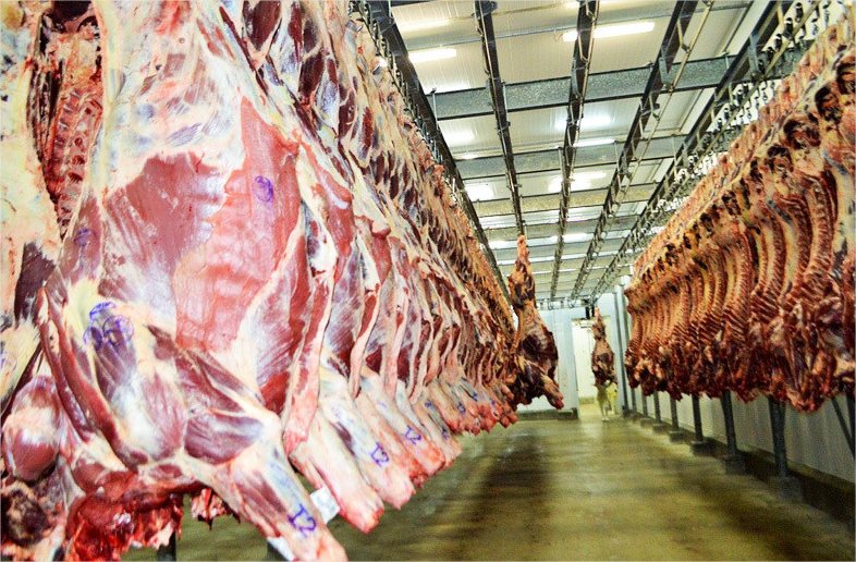Apesar do tarifaço dos EUA, exportação de carne bate recorde em MT