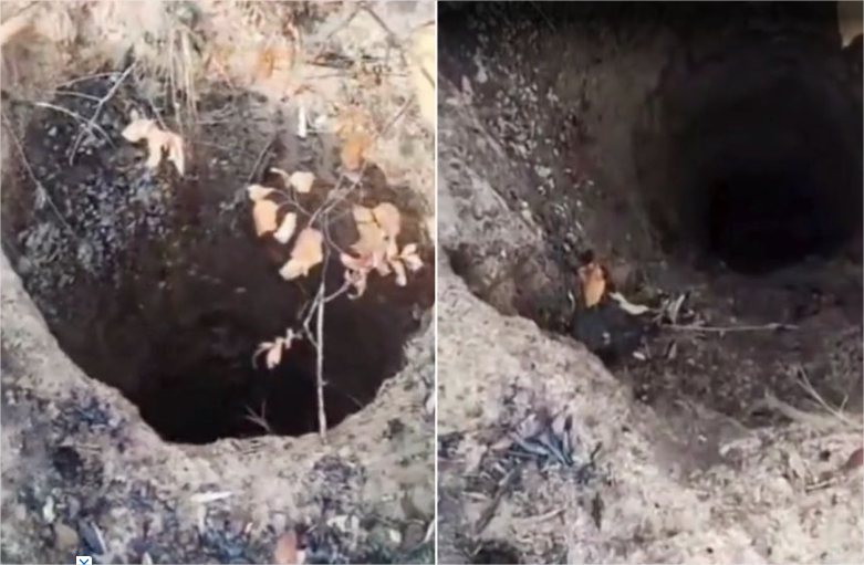 Cratera de origem desconhecida é descoberta em área de incêndio