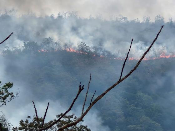Bombeiros encontram indícios de ação humana em incêndio que assola parque há seis dias; um foi preso